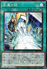 画像: 【パラレル】永遠の絆