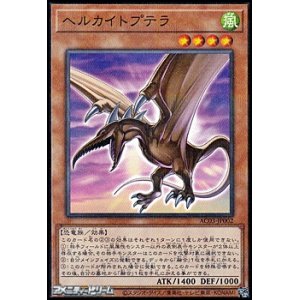 画像: 【パラレル】ヘルカイトプテラ