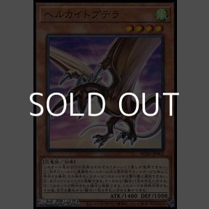 画像: 【パラレル】ヘルカイトプテラ