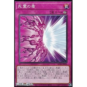 画像: 【ノーマル】死霊の盾