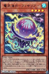 画像: 【ウルトラレア】電気海月－フィサリア－
