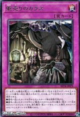 画像: 【レア】躯売りのカラス