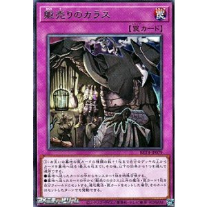 画像: 【レア】躯売りのカラス