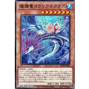 画像: 【ノーマル】耀爛竜コラリアネクテス