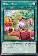 画像: 【ノーマル】魔救の合縁