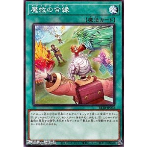 画像: 【ノーマル】魔救の合縁