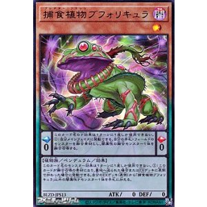 画像: 【ウルトラレア】捕食植物ブフォリキュラ