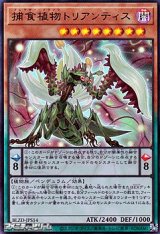 画像: 【ウルトラレア】捕食植物トリアンティス