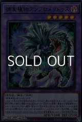 画像: 【ウルトラレア】捕食植物アンブロメリドゥス