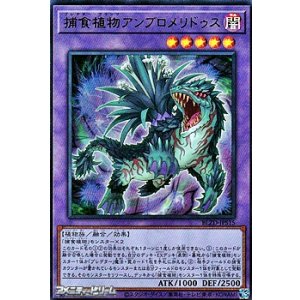 画像: 【ウルトラレア】捕食植物アンブロメリドゥス