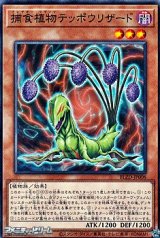 画像: 【ノーマル】捕食植物テッポウリザード