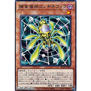 画像: 【ノーマル】捕食植物ロンギネフィラ