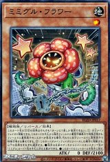 画像: 【ノーマル】ミミグル・フラワー