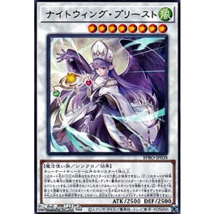 画像: 【レア】ナイトウィング・プリースト
