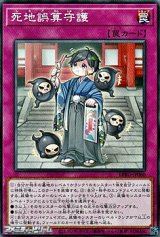 画像: 【ノーマル】死地誤算守護