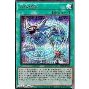 画像: 【シークレットレア】召喚魔術