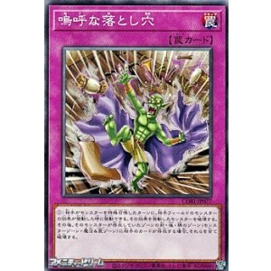 画像: 【ノーマル】嗚呼な落とし穴
