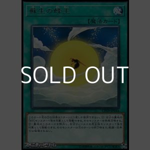 画像: 【レア】蘇生の蜂玉
