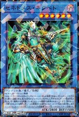 画像: 【パラレル】セネトメス・ネクベト