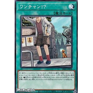 画像: 【ノーマル】ワンチャン！？