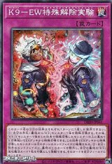 画像: 【ノーマル】K9－EW特殊解除実験