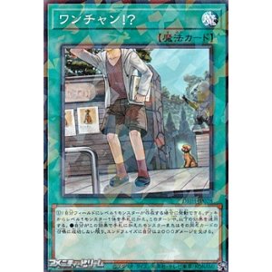 画像: 【パラレル】ワンチャン！？