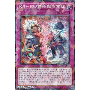 画像: 【パラレル】K9－EW特殊解除実験