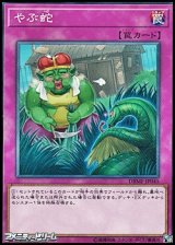 画像: 【ノーマル】やぶ蛇
