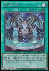 画像: 【シークレットレア】神碑の泉