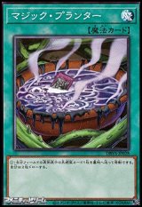 画像: 【ノーマル】マジック・プランター