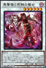 画像: 【スーパーレア】黒薔薇と荊棘の魔女