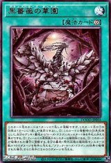 画像: 【レア】黒薔薇の華園