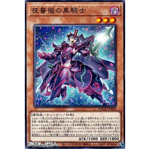 画像: 【ノーマル】夜薔薇の黒騎士