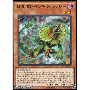画像: 【ノーマル】捕食植物サンデウ・キンジー