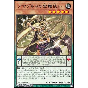 画像: 【レア】アマゾネスの金鞭使い