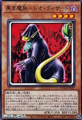 画像: 【ノーマル】黒き魔族－レオ・ウィザード