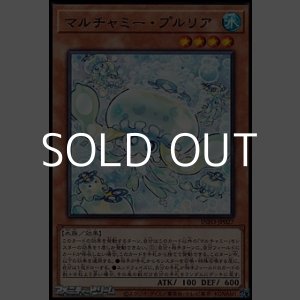 画像: 【レア】マルチャミー・プルリア