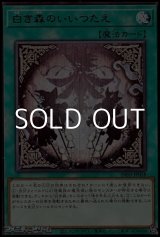 画像: 【レア】白き森のいいつたえ