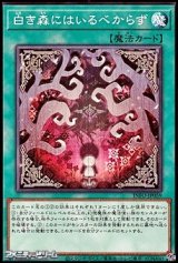 画像: 【ノーマル】白き森にはいるべからず
