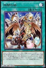 画像: 【レア】仲間の絆