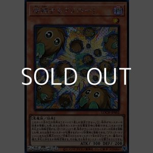 画像: 【シークレットレア】増殖するクリボー!