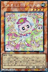 画像: 【コレクターズレア】マルチャミー・ニャルス