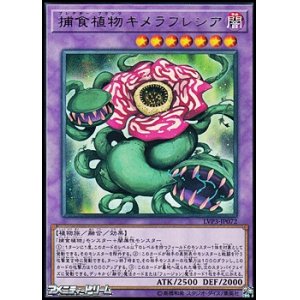 画像: 【レア】捕食植物キメラフレシア