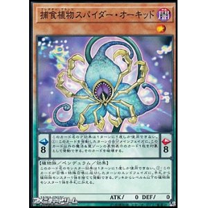 画像: 【ノーマル】捕食植物スパイダー・オーキッド