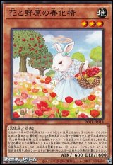 画像: 【ノーマル】花と野原の春化精