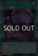 画像: 【25thシークレットレア】おろかな副葬
