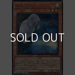 画像: 【シークレットレア】朔夜しぐれ (イラスト違い)