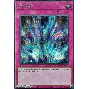 画像: 【シークレットレア】激流葬