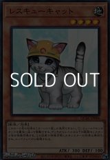 画像: 【スーパーレア】レスキューキャット