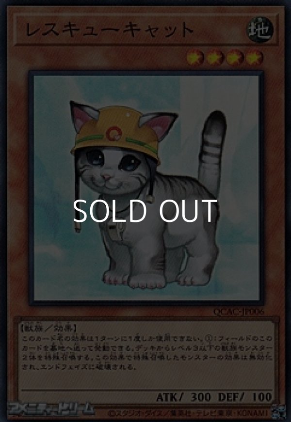画像1: 【スーパーレア】レスキューキャット (1)